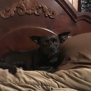 Meet your Posher, Denise